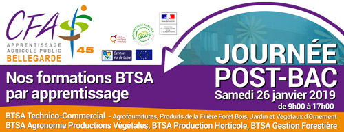 260119 JPO Special BTS au CFAAD45 260119 JPO Special BTS au CFAAD45