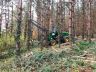 filière machinisme forestier 